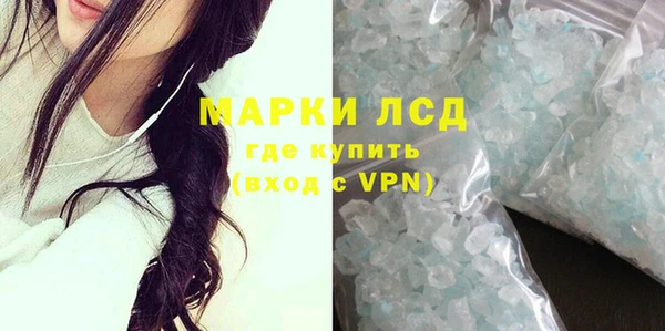 прущие грибы Арсеньев