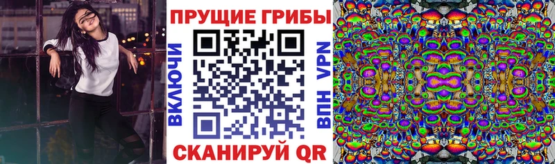 Псилоцибиновые грибы Psilocybe  Балабаново 